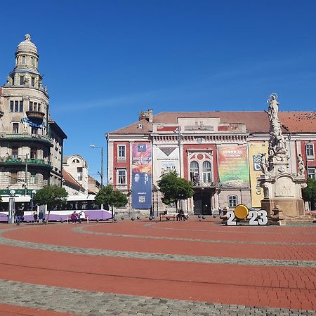 Travel And Music Apartment Тимишоара Экстерьер фото